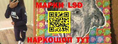 индика Михайловск