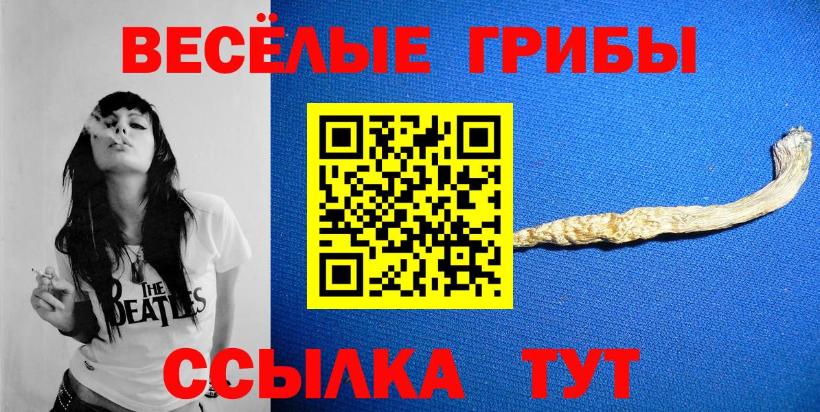 Галлюциногенные грибы Magic Shrooms  Псилоцибиновые грибы прущие грибы  Вход с VPN  Грозный 